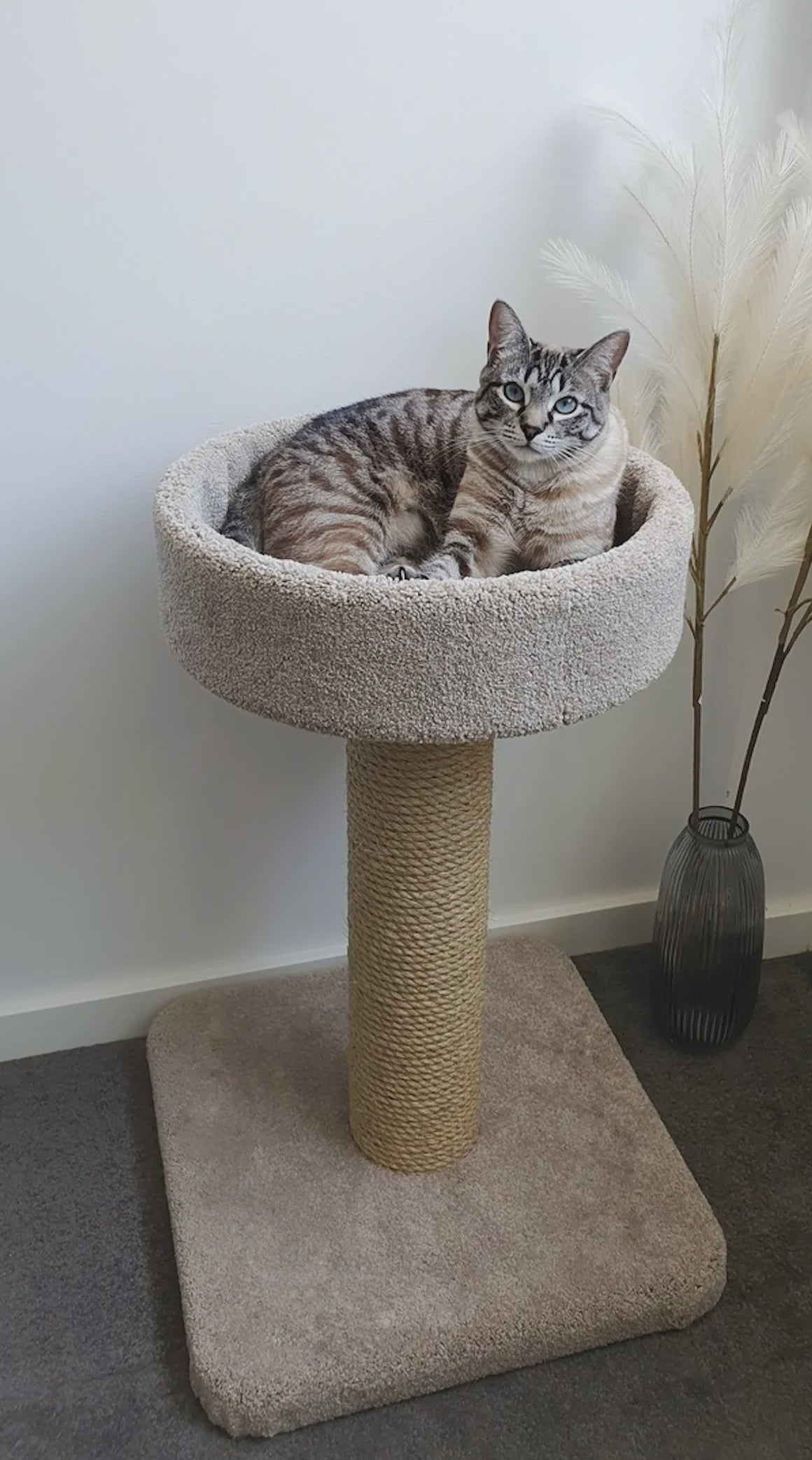 Bosscat Premium Duke Sisal Fawn