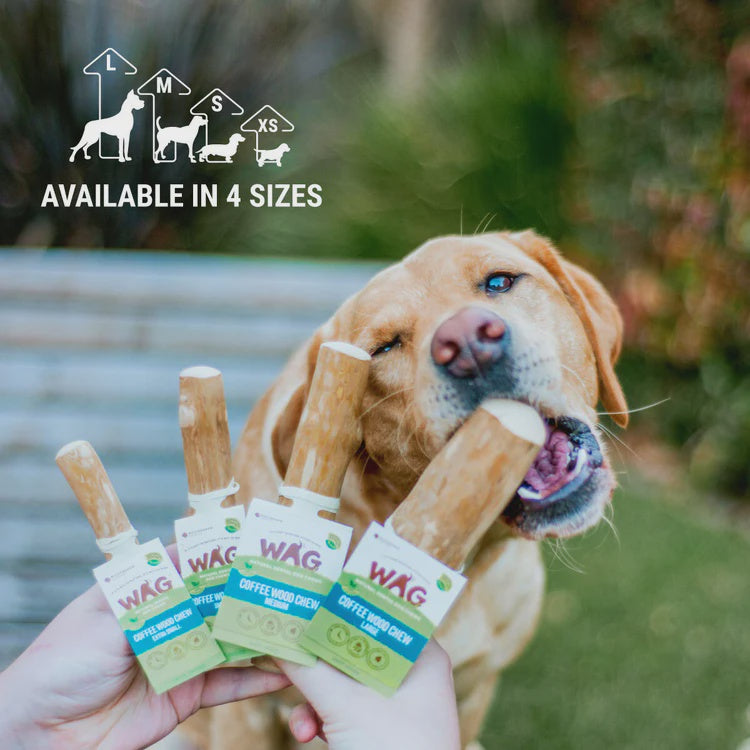 Coffee Wood Chew Small