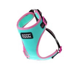 Neoflex Dog Harness RIN TIN TIN (Neon) - Extra Large