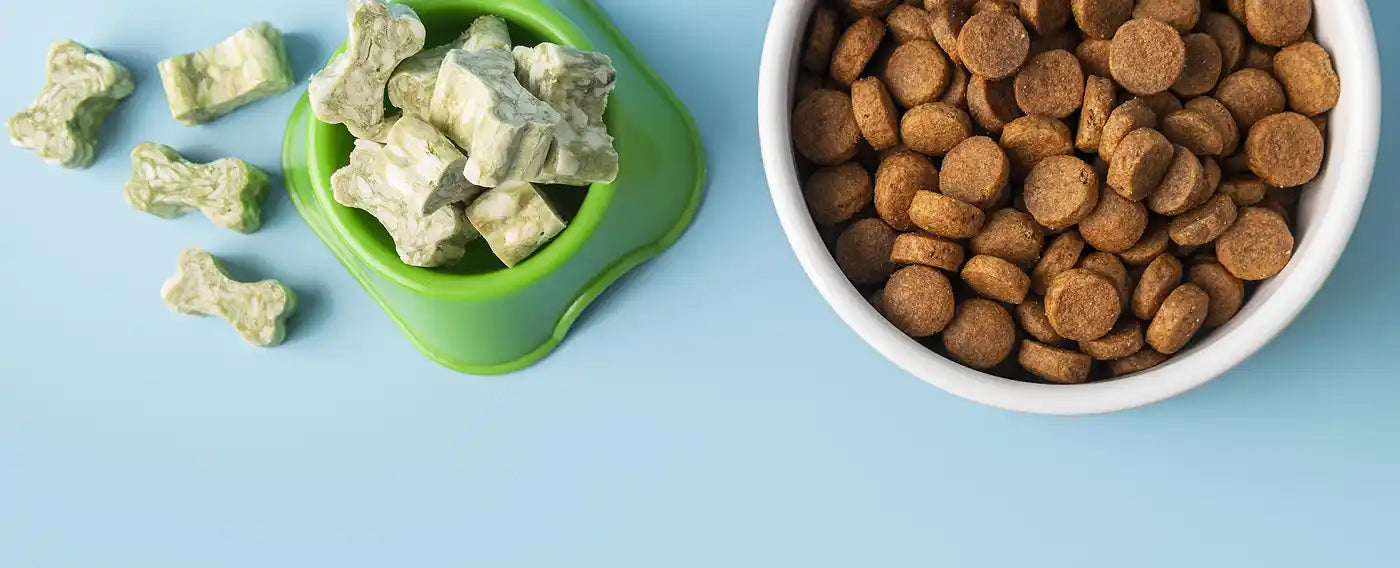 Cibo per cani e gatti