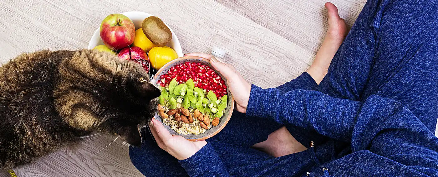 BARF Diet for Dogs