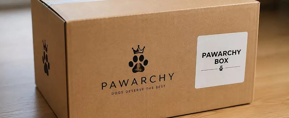 pawarchy box on the table