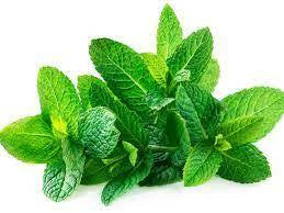 Peppermint, Fine Leaf - 500g bag Wholesale