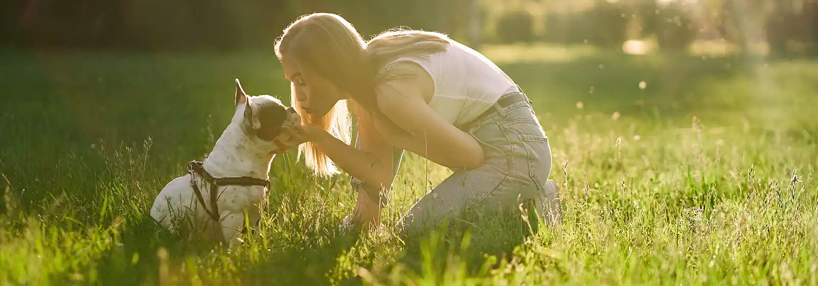 Dog and woman in the garden